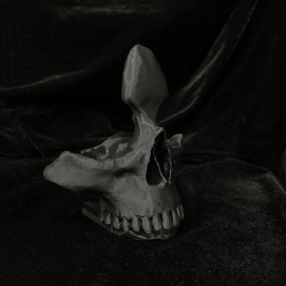 Stylish Skull Eyeglass Holder - Unique 3D Printed Display Stand for Reading Glasses