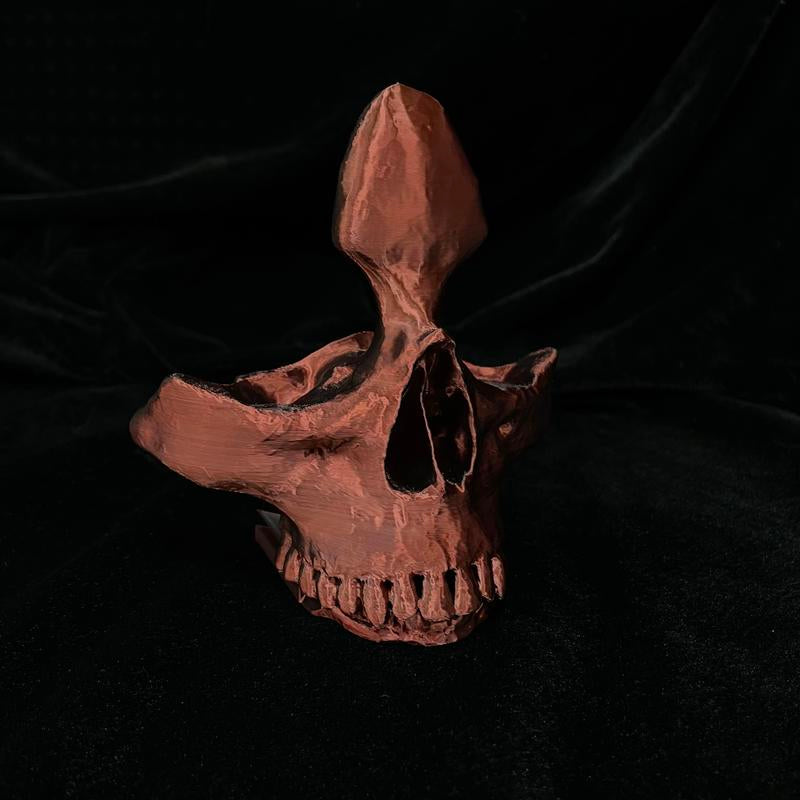 Stylish Skull Eyeglass Holder - Unique 3D Printed Display Stand for Reading Glasses